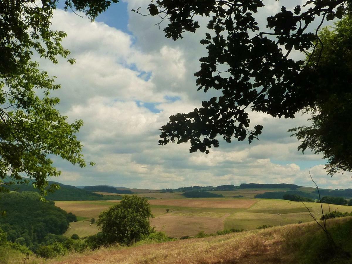 Ferienhaus Moscheltal Βίλα Waldgrehweiler Εξωτερικό φωτογραφία