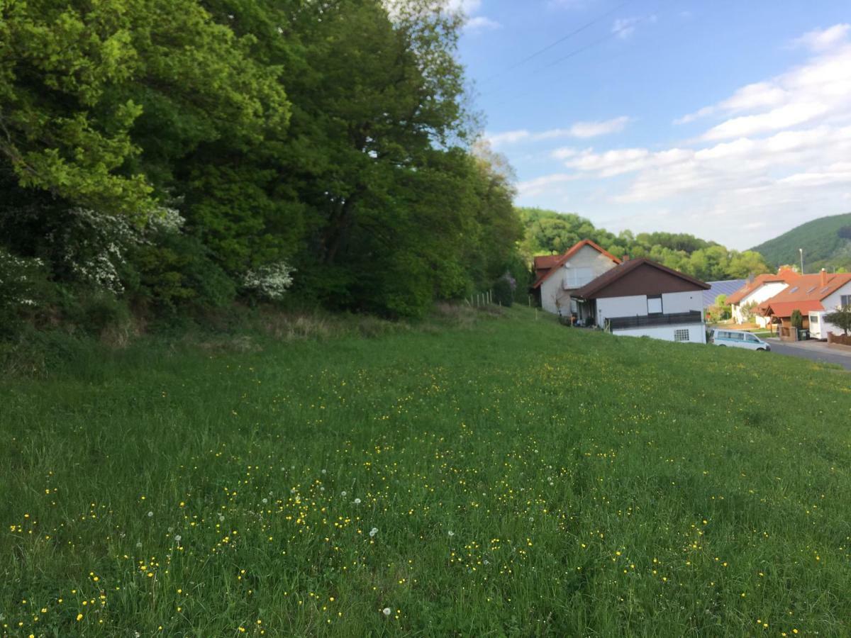 Ferienhaus Moscheltal Βίλα Waldgrehweiler Εξωτερικό φωτογραφία