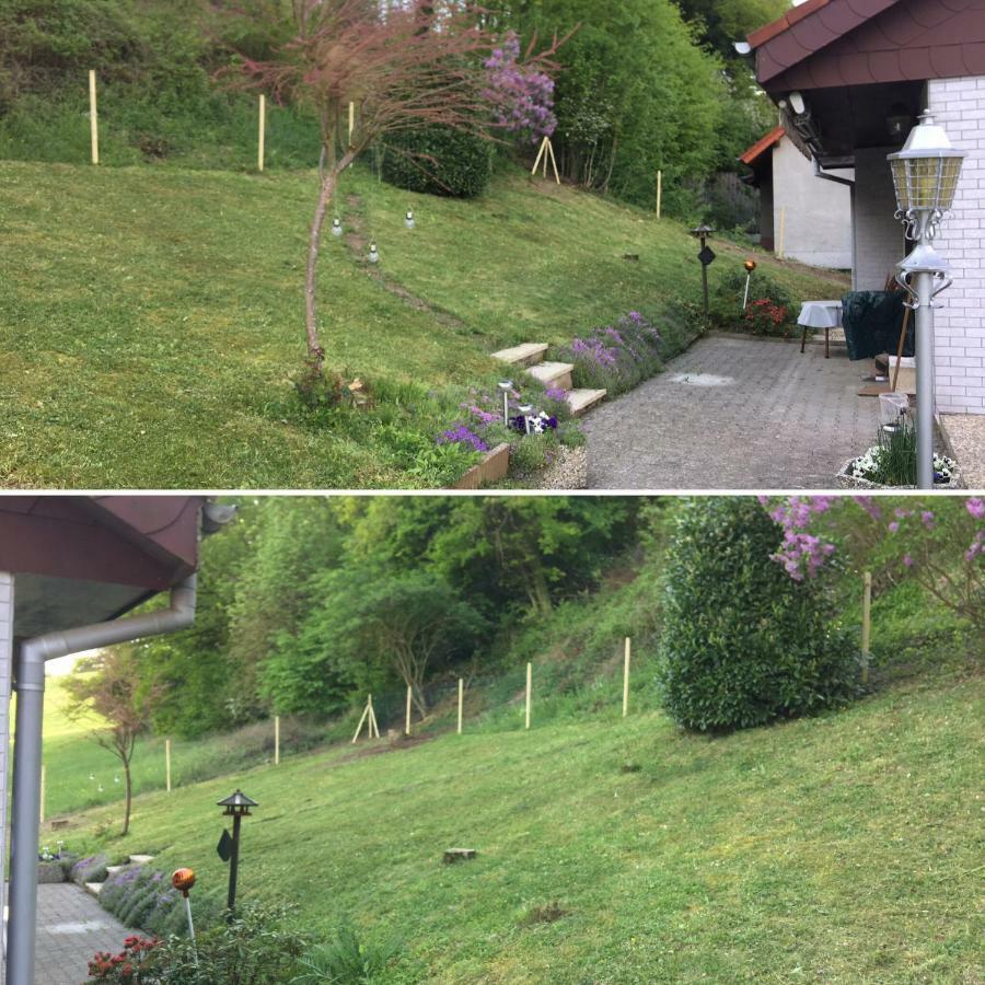 Ferienhaus Moscheltal Βίλα Waldgrehweiler Εξωτερικό φωτογραφία
